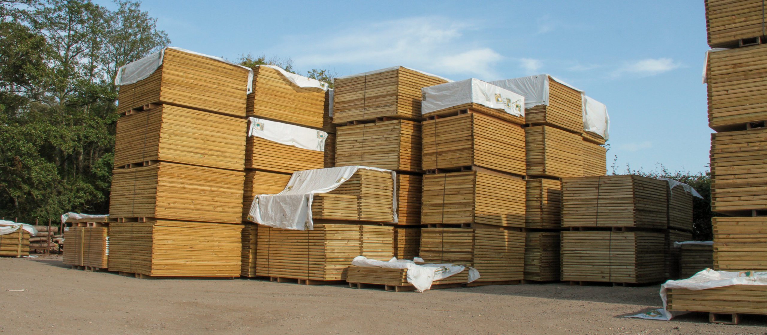 Golden Larch Fencing Supplies in Hampshire